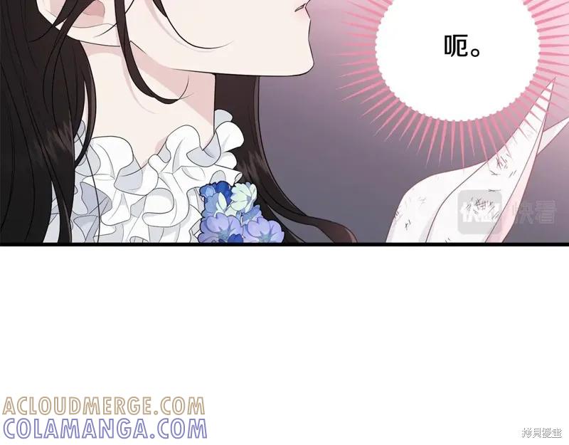 《明明是冷美人小姐却变成了忠犬大少爷》第63话 第85页
