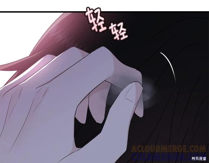 《明明是冷美人小姐却变成了忠犬大少爷》第63话 第161页