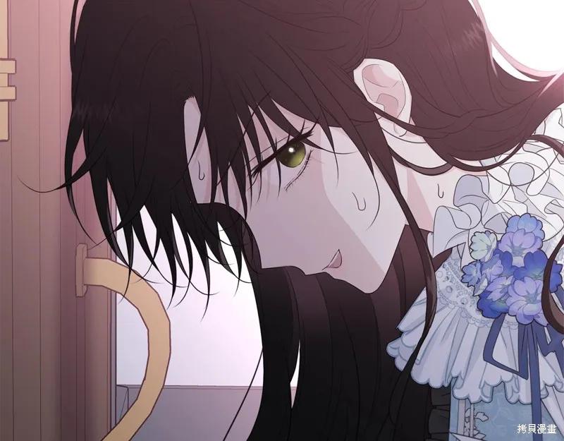 《明明是冷美人小姐却变成了忠犬大少爷》第63话 第179页