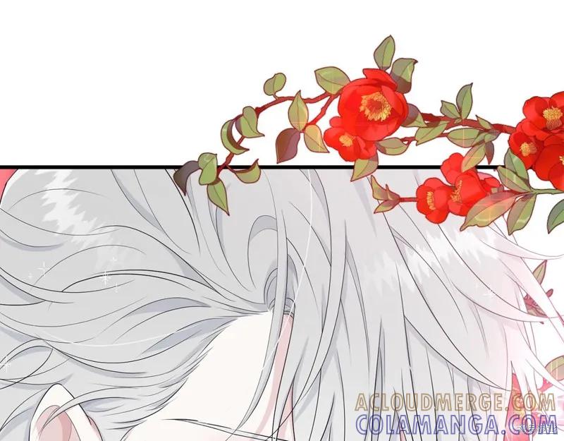 《明明是冷美人小姐却变成了忠犬大少爷》第63话 第29页