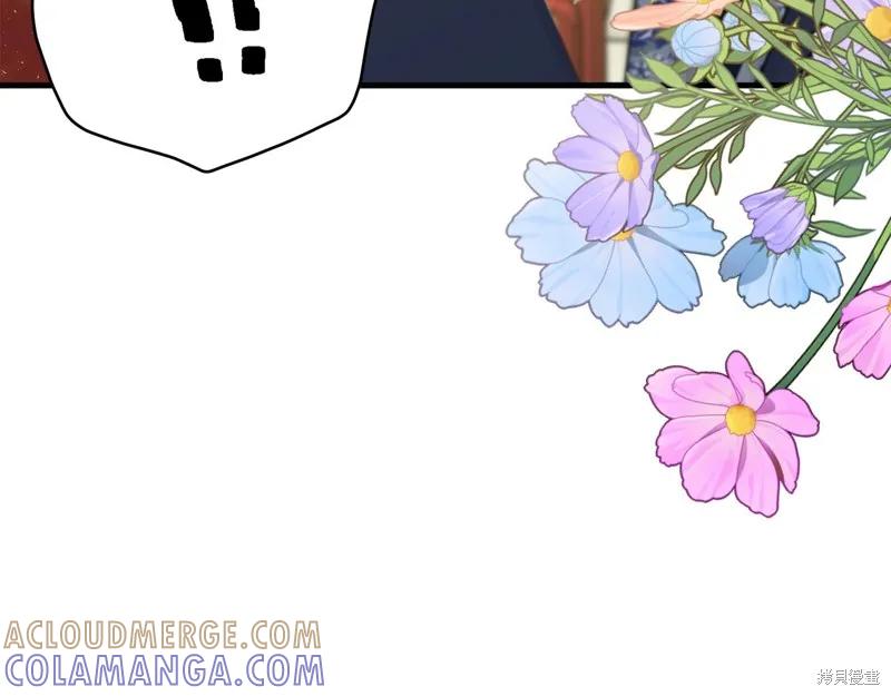 《明明是冷美人小姐却变成了忠犬大少爷》第63话 第209页