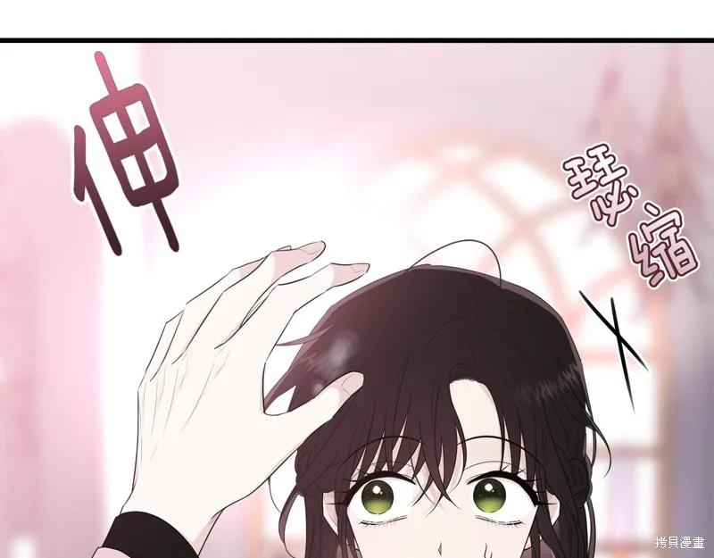 《明明是冷美人小姐却变成了忠犬大少爷》第63话 第158页