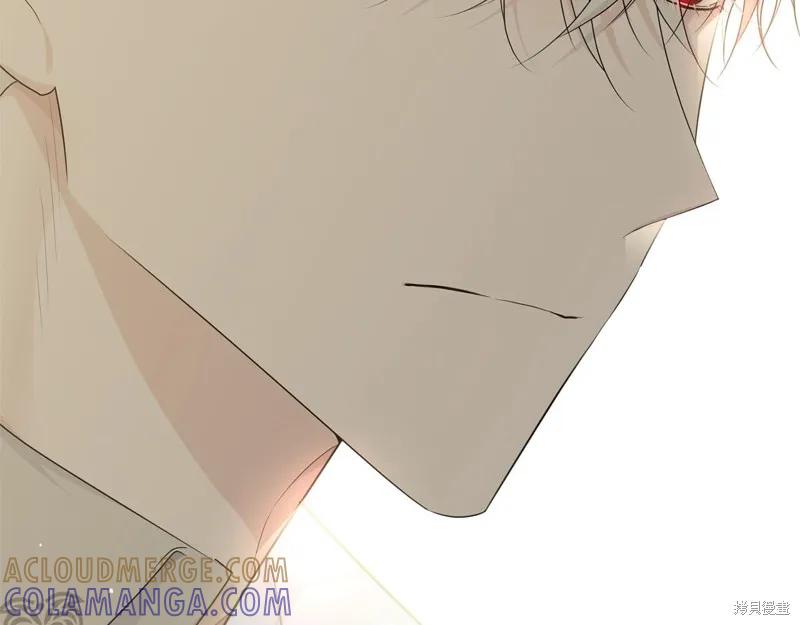 《明明是冷美人小姐却变成了忠犬大少爷》第64话 第197页