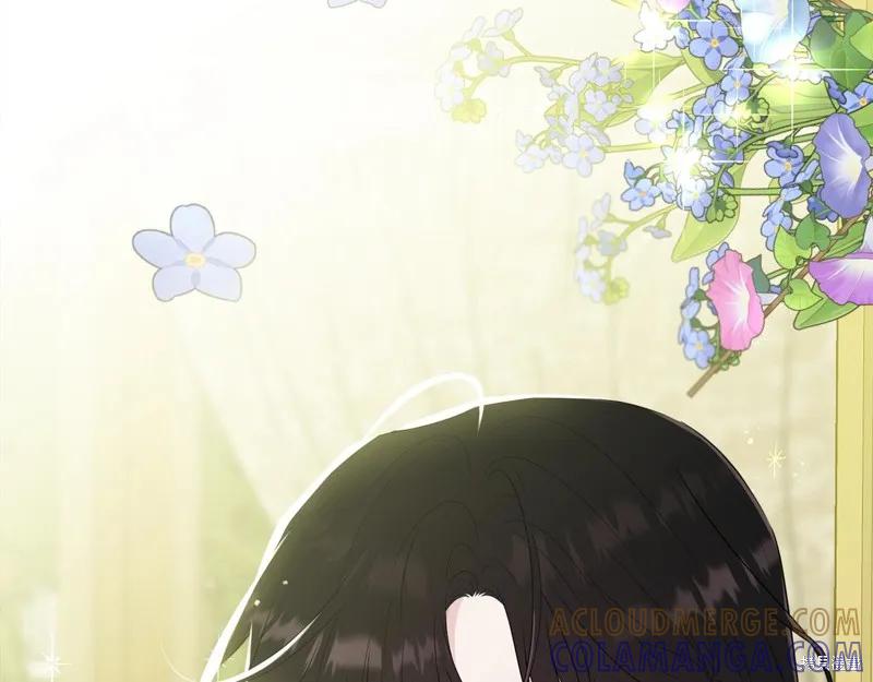 《明明是冷美人小姐却变成了忠犬大少爷》第64话 第9页