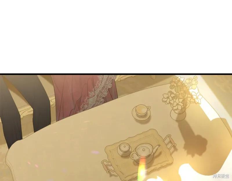 《明明是冷美人小姐却变成了忠犬大少爷》第64话 第199页
