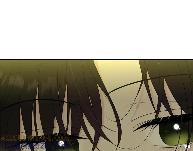 《明明是冷美人小姐却变成了忠犬大少爷》第64话 第13页