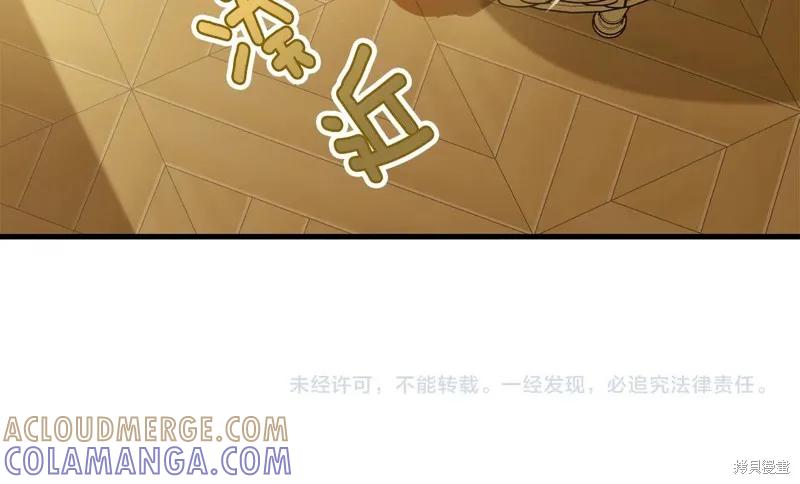 《明明是冷美人小姐却变成了忠犬大少爷》第64话 第201页
