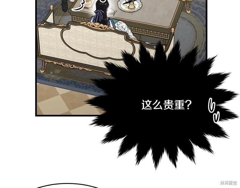 《明明是冷美人小姐却变成了忠犬大少爷》第65话 第194页