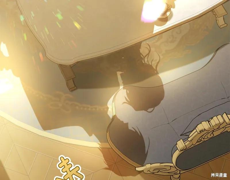 《明明是冷美人小姐却变成了忠犬大少爷》第65话 第8页