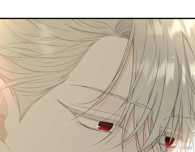 《明明是冷美人小姐却变成了忠犬大少爷》第65话 第4页