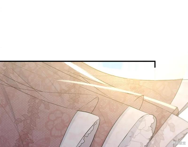《明明是冷美人小姐却变成了忠犬大少爷》第65话 第147页
