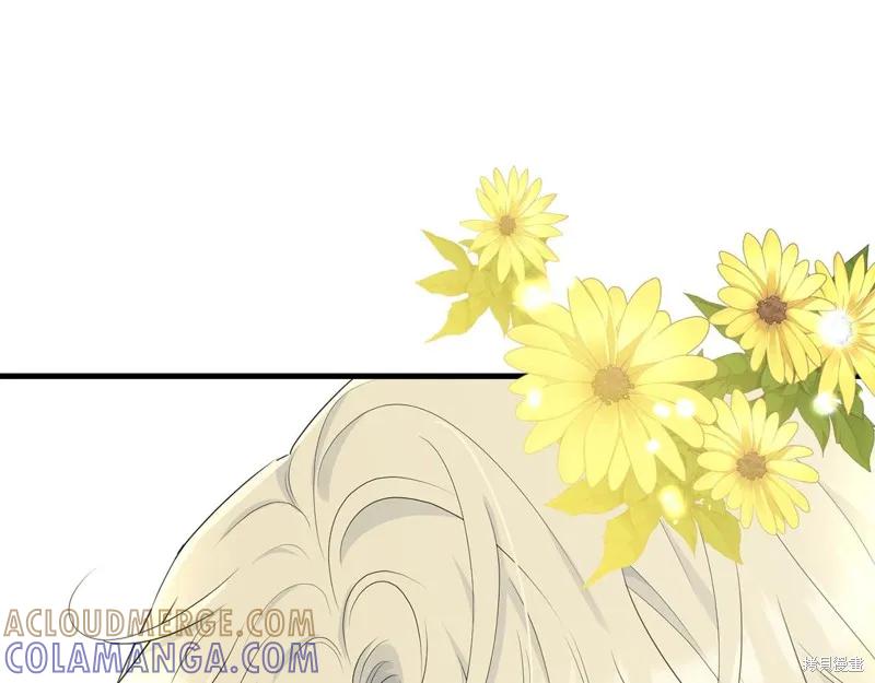 《明明是冷美人小姐却变成了忠犬大少爷》第65话 第53页
