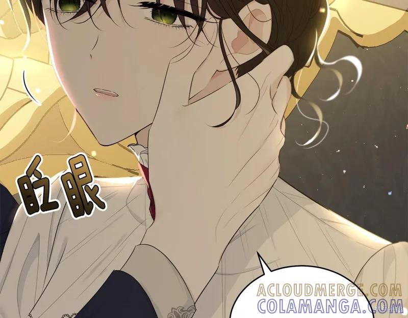 《明明是冷美人小姐却变成了忠犬大少爷》第65话 第17页