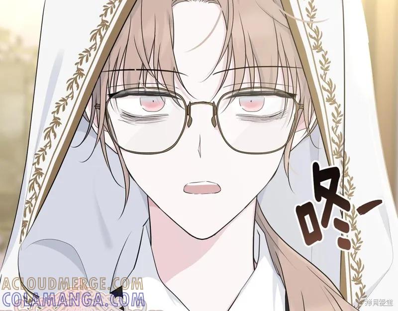 《明明是冷美人小姐却变成了忠犬大少爷》第65话 第161页