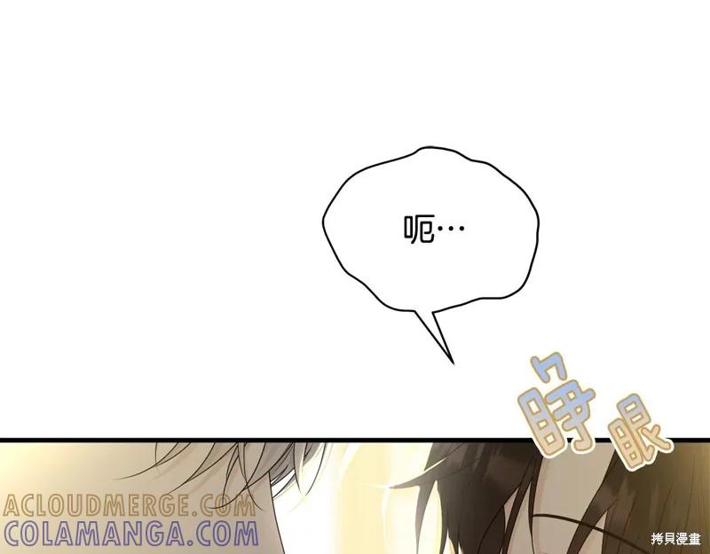 《明明是冷美人小姐却变成了忠犬大少爷》第65话 第13页