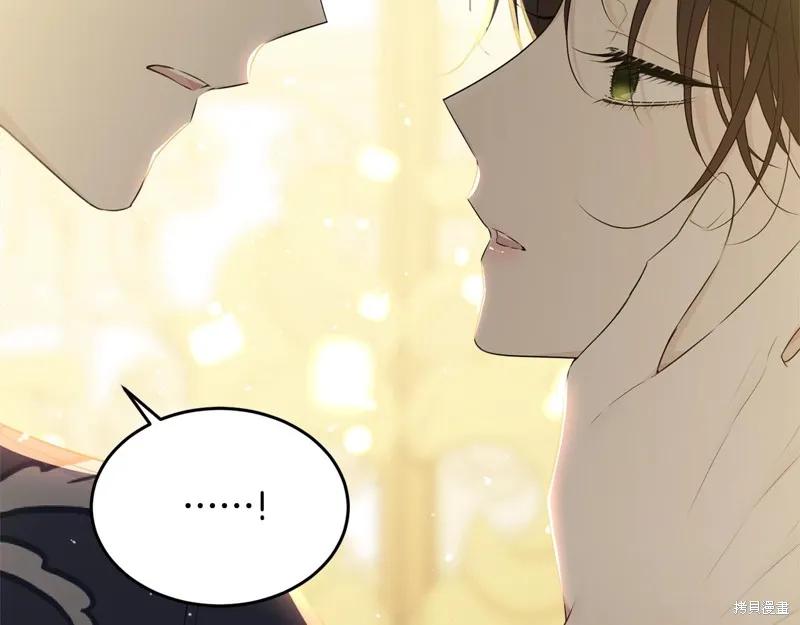 《明明是冷美人小姐却变成了忠犬大少爷》第65话 第14页