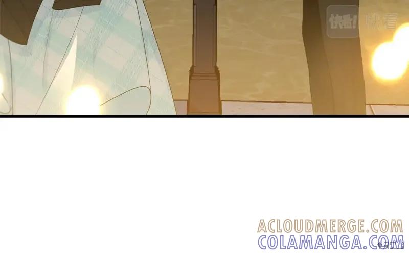 《明明是冷美人小姐却变成了忠犬大少爷》第66话 第205页