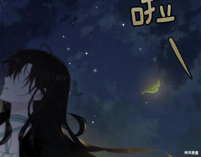 《明明是冷美人小姐却变成了忠犬大少爷》第66话 第187页