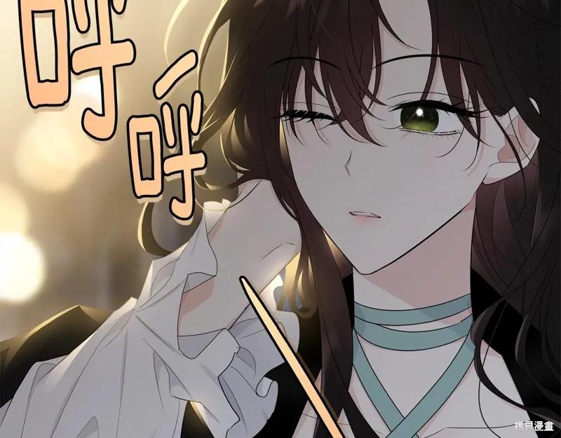 《明明是冷美人小姐却变成了忠犬大少爷》第66话 第111页