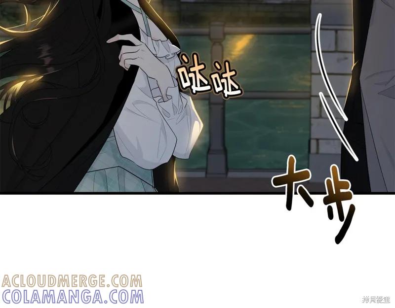 《明明是冷美人小姐却变成了忠犬大少爷》第66话 第141页