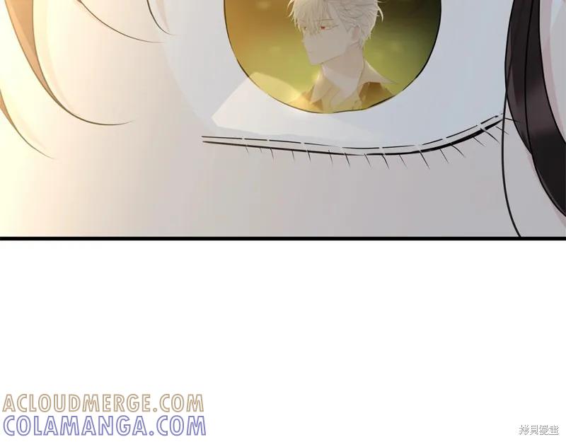 《明明是冷美人小姐却变成了忠犬大少爷》第66话 第121页
