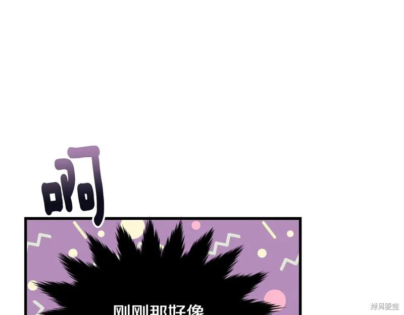 《明明是冷美人小姐却变成了忠犬大少爷》第66话 第206页
