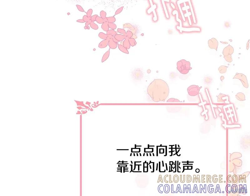 《明明是冷美人小姐却变成了忠犬大少爷》第67话 第37页