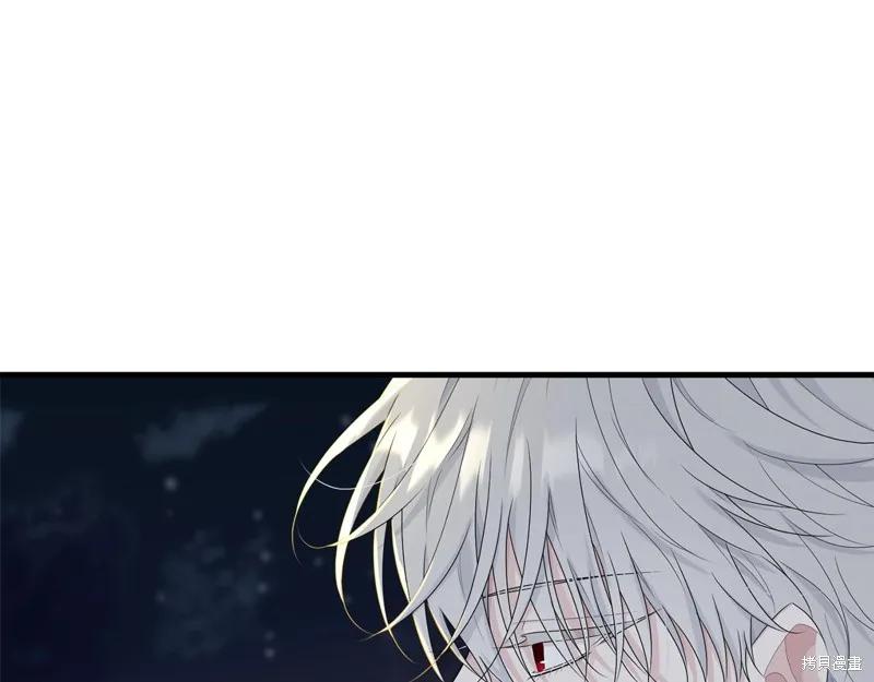 《明明是冷美人小姐却变成了忠犬大少爷》第67话 第62页