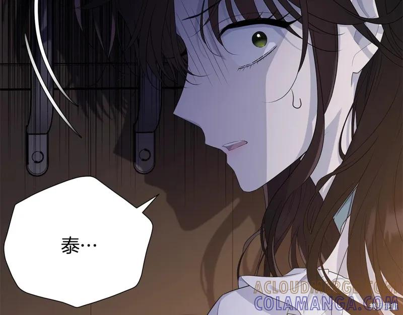 《明明是冷美人小姐却变成了忠犬大少爷》第67话 第105页