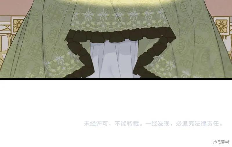 《明明是冷美人小姐却变成了忠犬大少爷》第67话 第219页