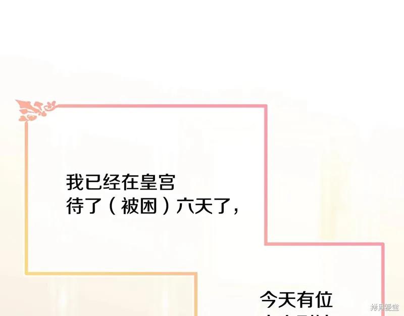 《明明是冷美人小姐却变成了忠犬大少爷》第68话 第76页