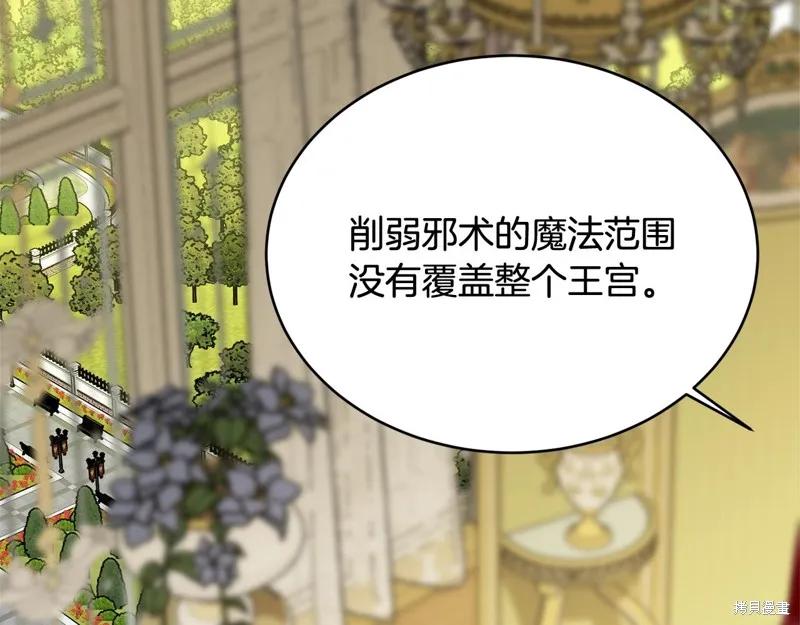 《明明是冷美人小姐却变成了忠犬大少爷》第68话 第146页