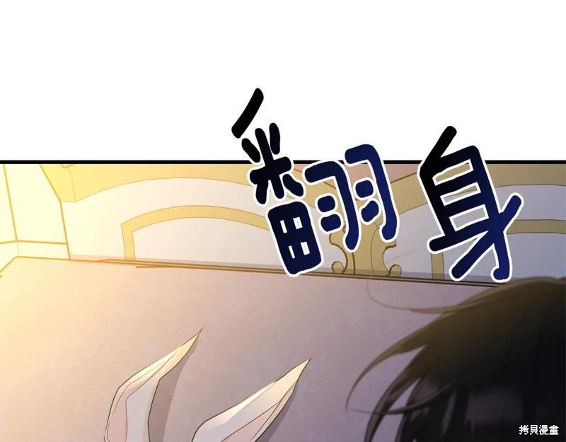 《明明是冷美人小姐却变成了忠犬大少爷》第68话 第60页