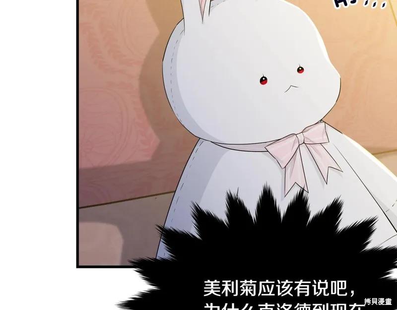 《明明是冷美人小姐却变成了忠犬大少爷》第68话 第39页