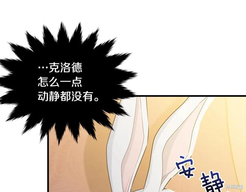 《明明是冷美人小姐却变成了忠犬大少爷》第68话 第38页