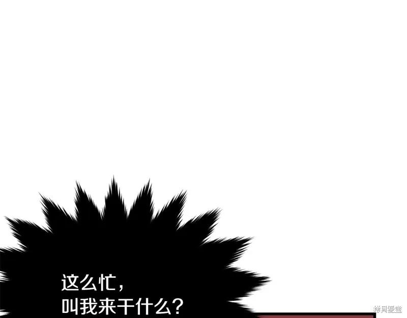《明明是冷美人小姐却变成了忠犬大少爷》第68话 第26页