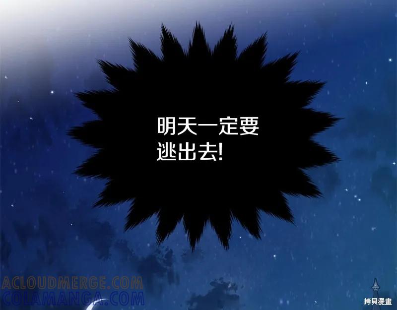 《明明是冷美人小姐却变成了忠犬大少爷》第68话 第69页