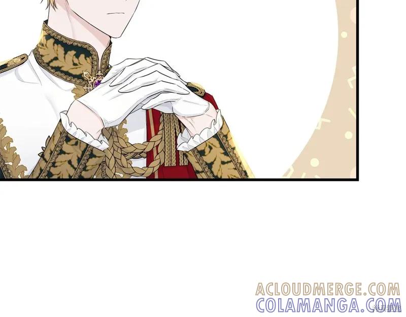 《明明是冷美人小姐却变成了忠犬大少爷》第69话 第125页