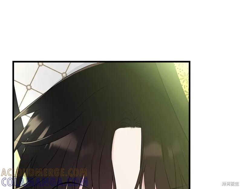 《明明是冷美人小姐却变成了忠犬大少爷》第69话 第97页