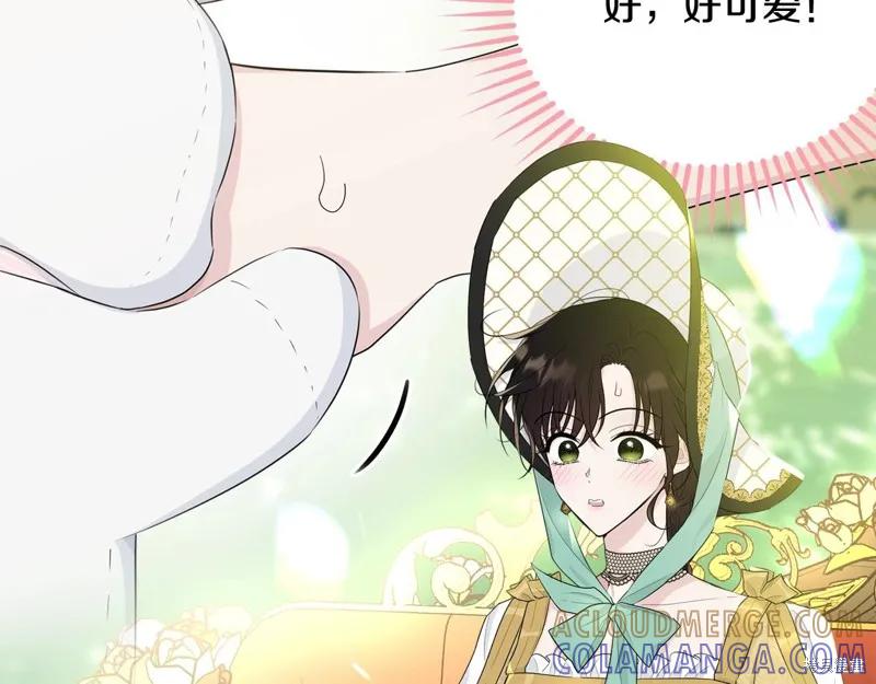《明明是冷美人小姐却变成了忠犬大少爷》第69话 第13页
