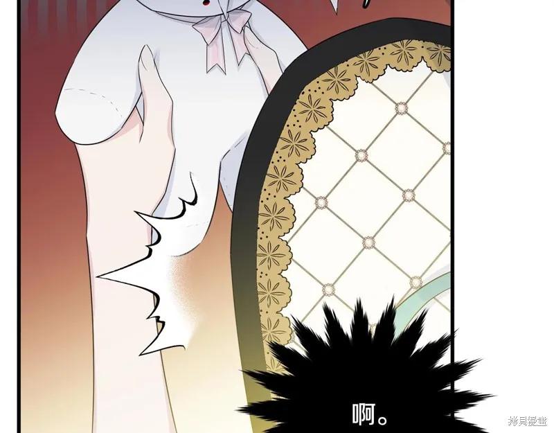 《明明是冷美人小姐却变成了忠犬大少爷》第69话 第30页