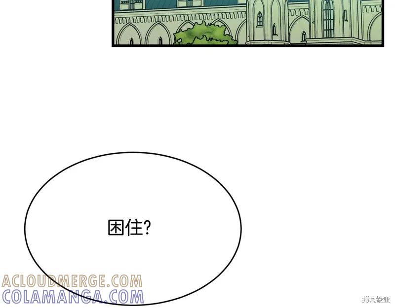 《明明是冷美人小姐却变成了忠犬大少爷》第69话 第17页