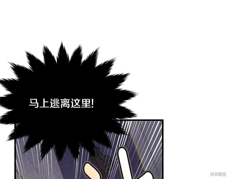 《明明是冷美人小姐却变成了忠犬大少爷》第70话 第167页