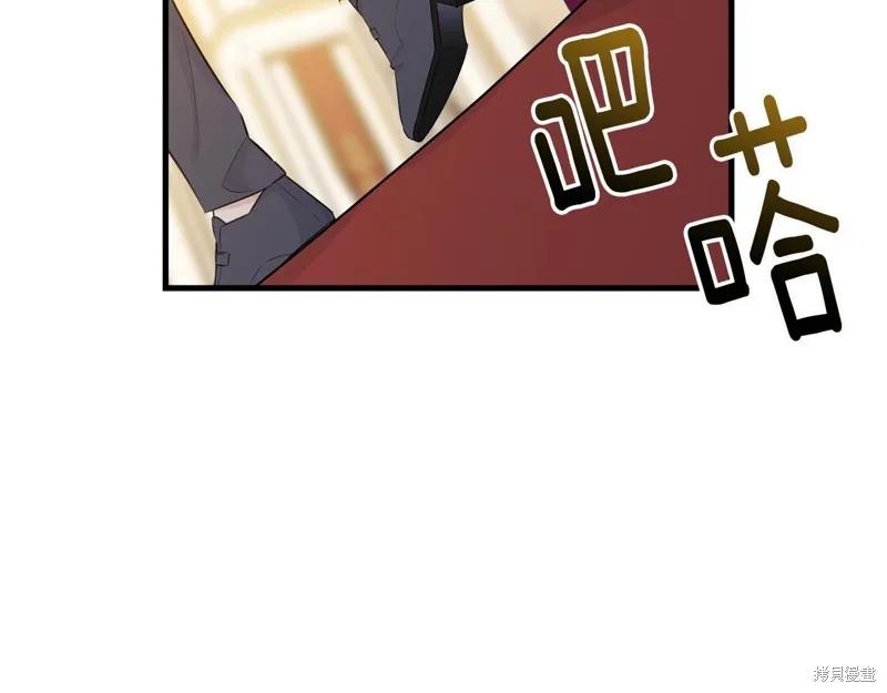 《明明是冷美人小姐却变成了忠犬大少爷》第70话 第56页