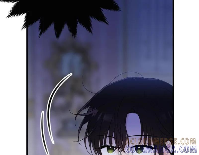 《明明是冷美人小姐却变成了忠犬大少爷》第70话 第25页