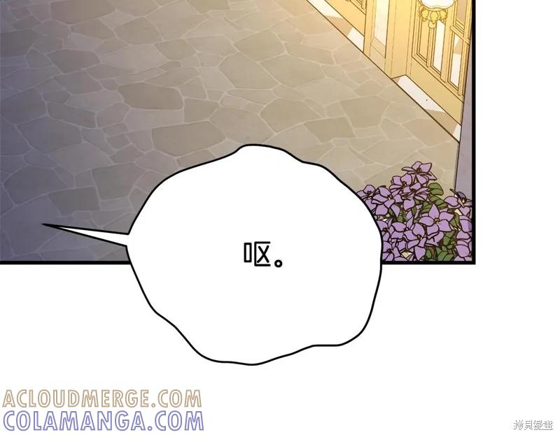 《明明是冷美人小姐却变成了忠犬大少爷》第70话 第109页