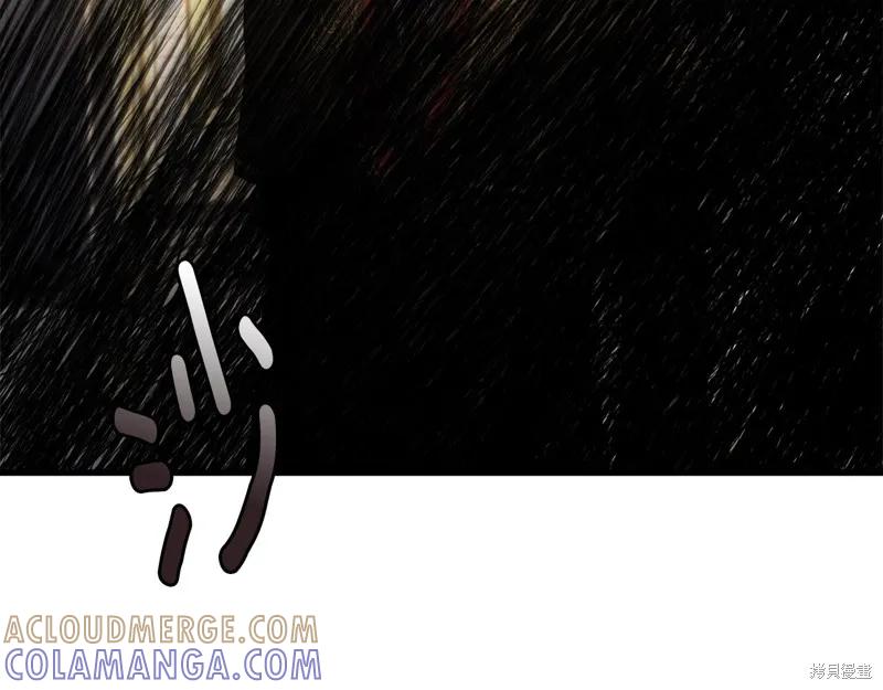 《明明是冷美人小姐却变成了忠犬大少爷》第71话 第81页