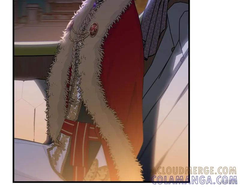 《明明是冷美人小姐却变成了忠犬大少爷》第71话 第113页