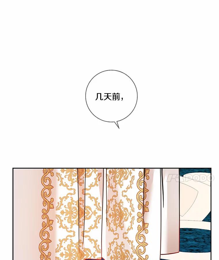 《龙套大公子妃的花路人生》43.皇帝驾崩 第134页