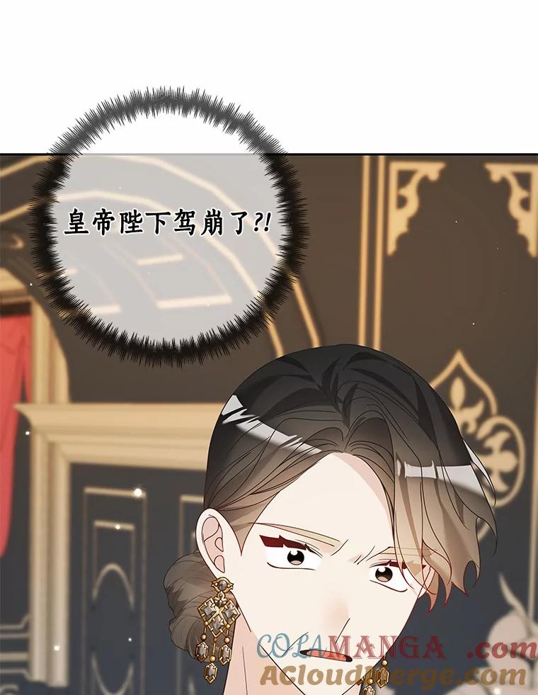 《龙套大公子妃的花路人生》43.皇帝驾崩 第101页